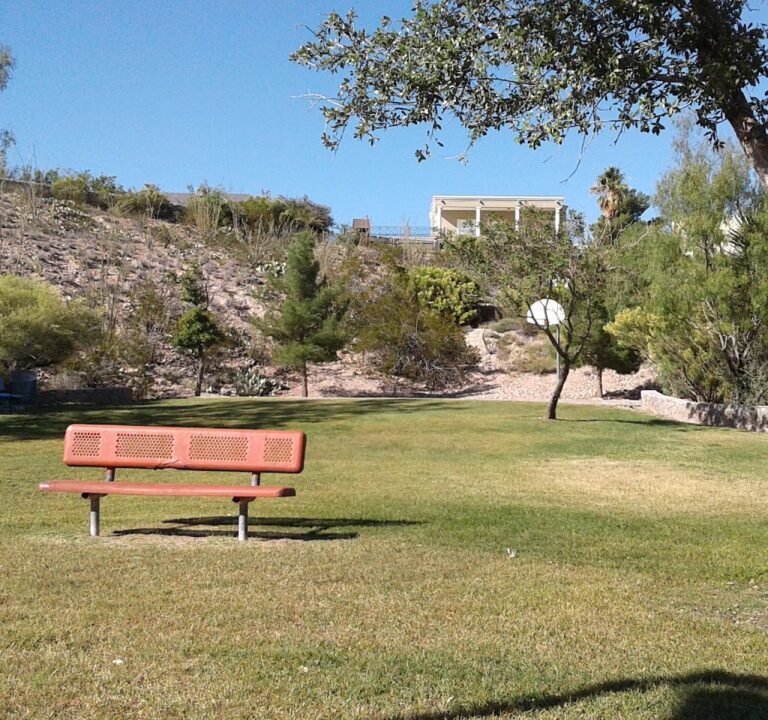 Soccer Field image 2