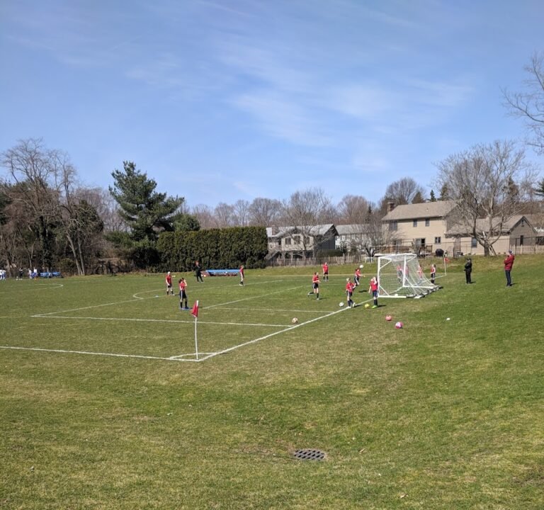 Soccer Field image 2