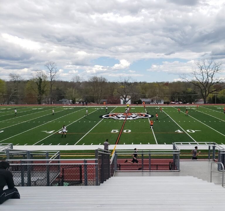 Soccer Field image 2