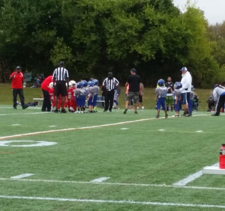 Soccer Field image 2