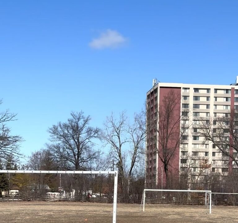 Soccer Field image 4