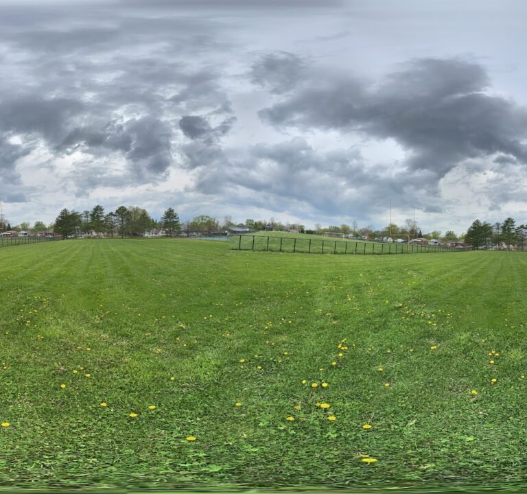 Soccer Field image 2