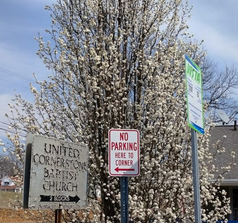 Soccer Field image 3