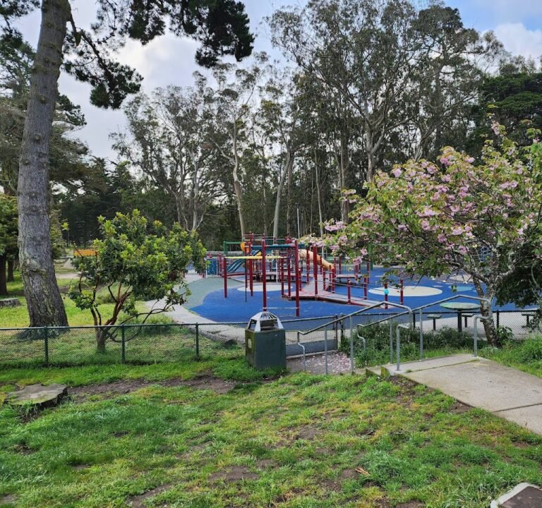 Soccer Field image 2