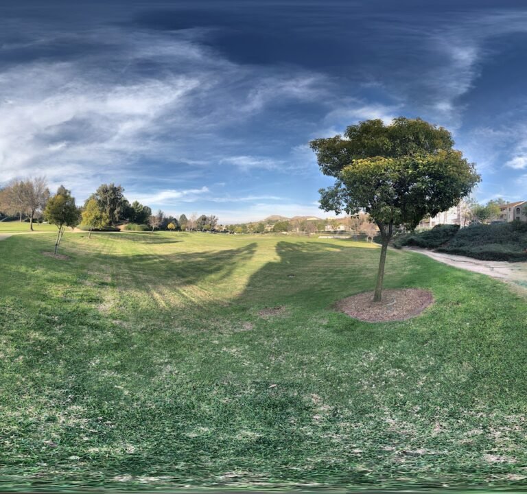 Soccer Field image 3