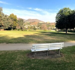 Soccer Field image 2