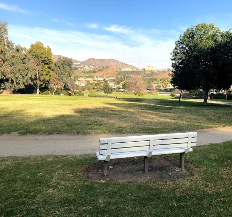 Soccer Field image 2