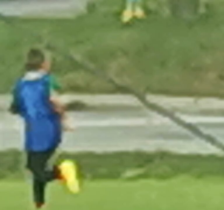 Soccer Field image 3