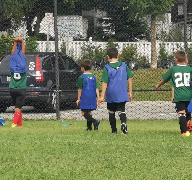 Soccer Field image 2