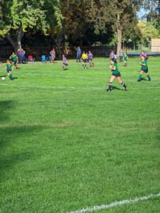 Soccer Field image 1