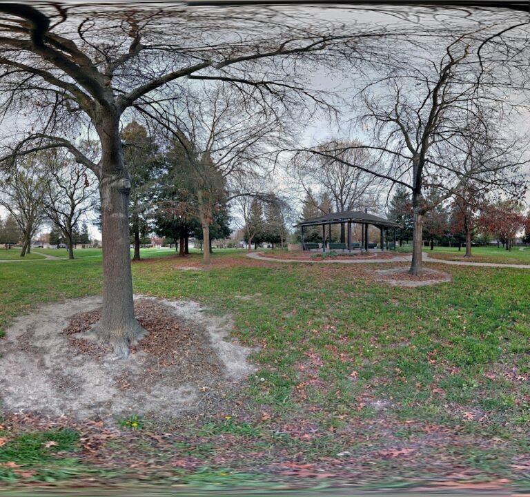 Soccer Field image 3