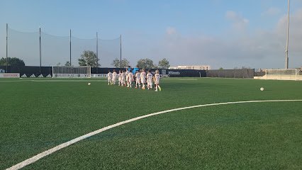 Soccer Field image 1