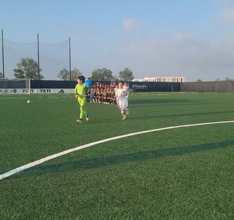 Soccer Field image 2