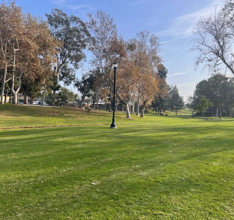 Soccer Field image 2