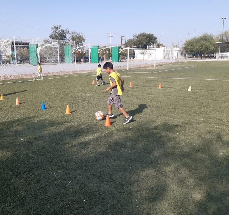 Soccer Field image 2