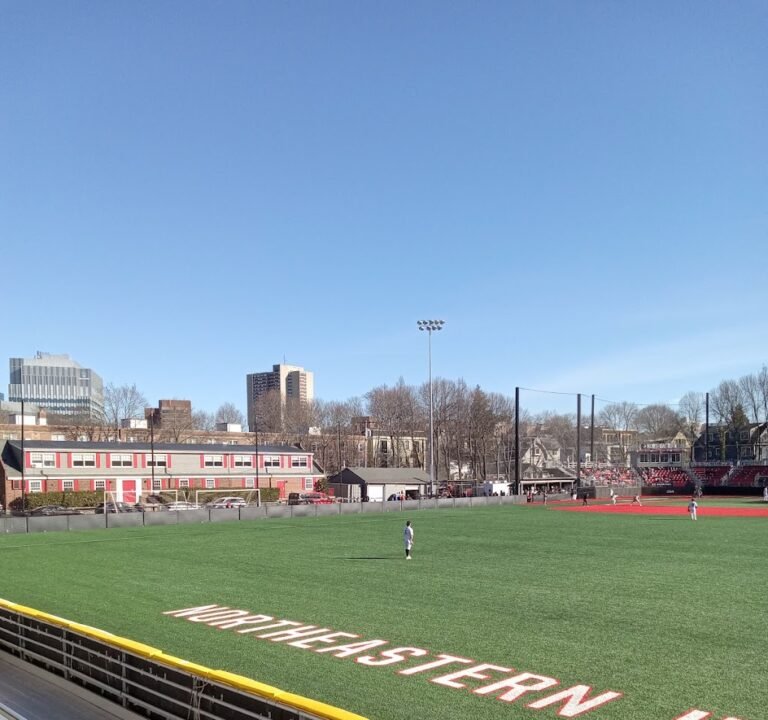 Soccer Field image 2