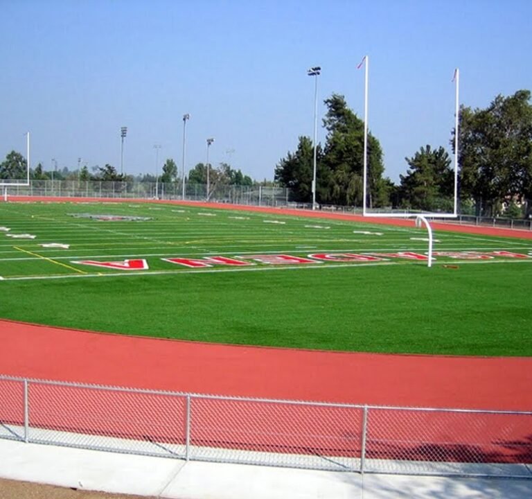 Soccer Field image 2