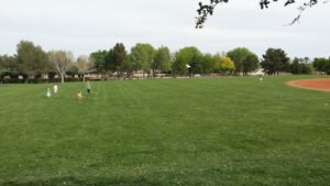 Soccer Field image 1