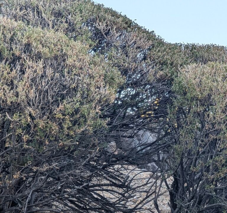 Soccer Field image 3