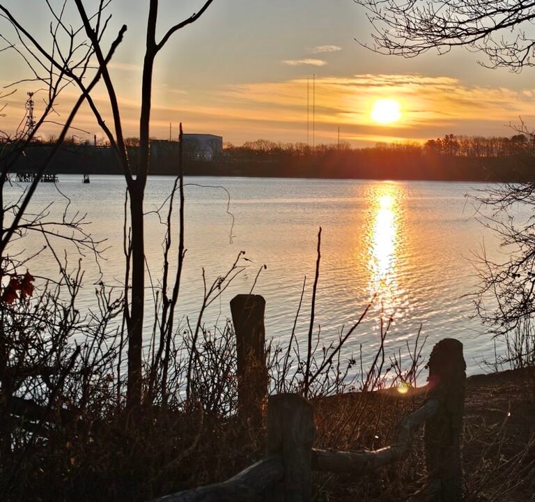 Soccer Field image 3