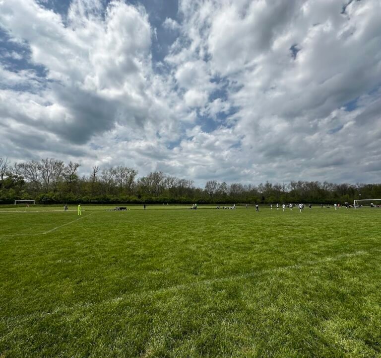 Soccer Field image 2