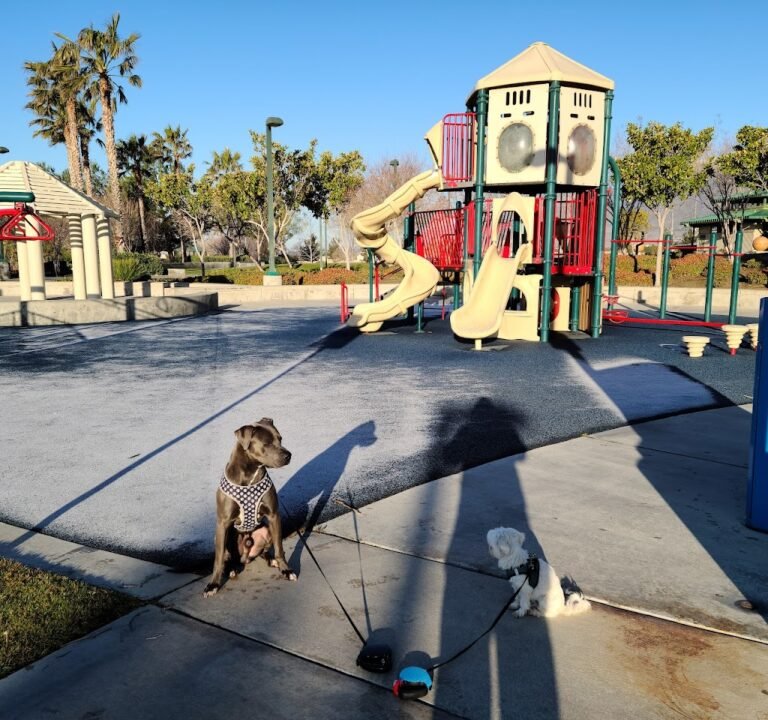 Soccer Field image 2