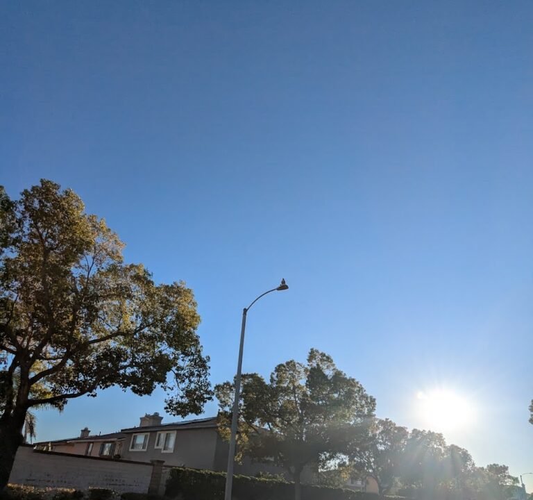 Soccer Field image 3