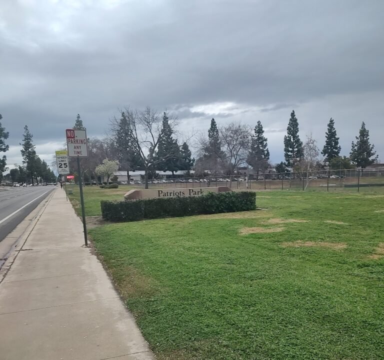 Soccer Field image 2