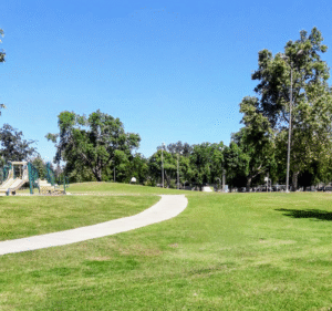 Soccer Field image 1