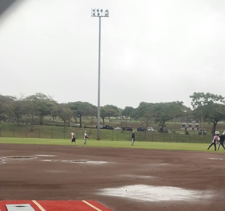 Soccer Field image 3