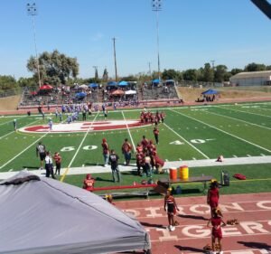 Soccer Field image 2