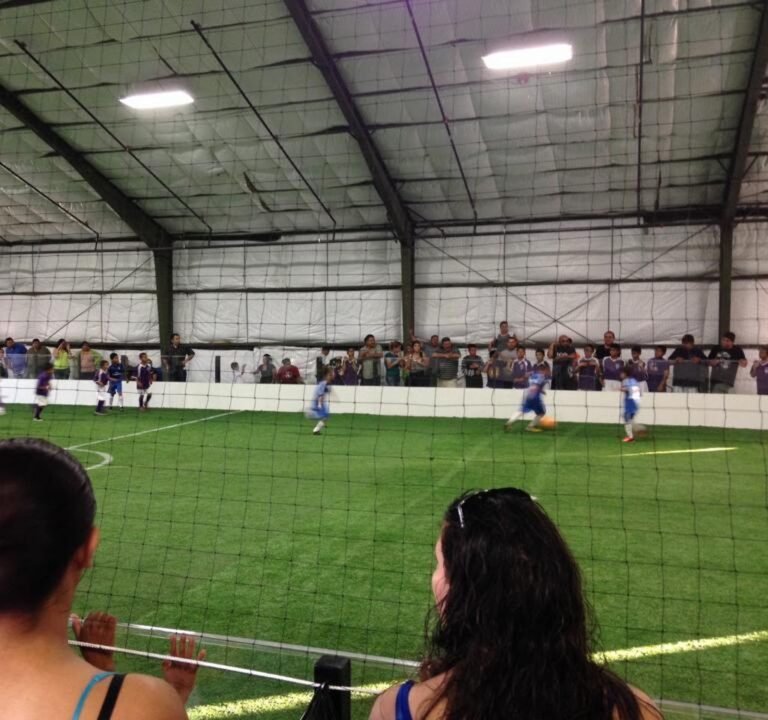 Soccer Field image 2