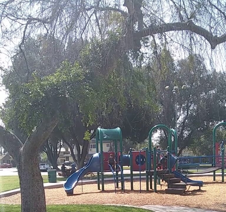 Soccer Field image 2