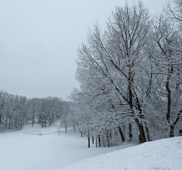 Soccer Field image 2