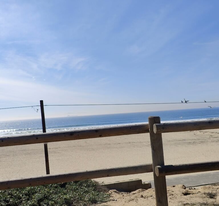 Soccer Field image 3