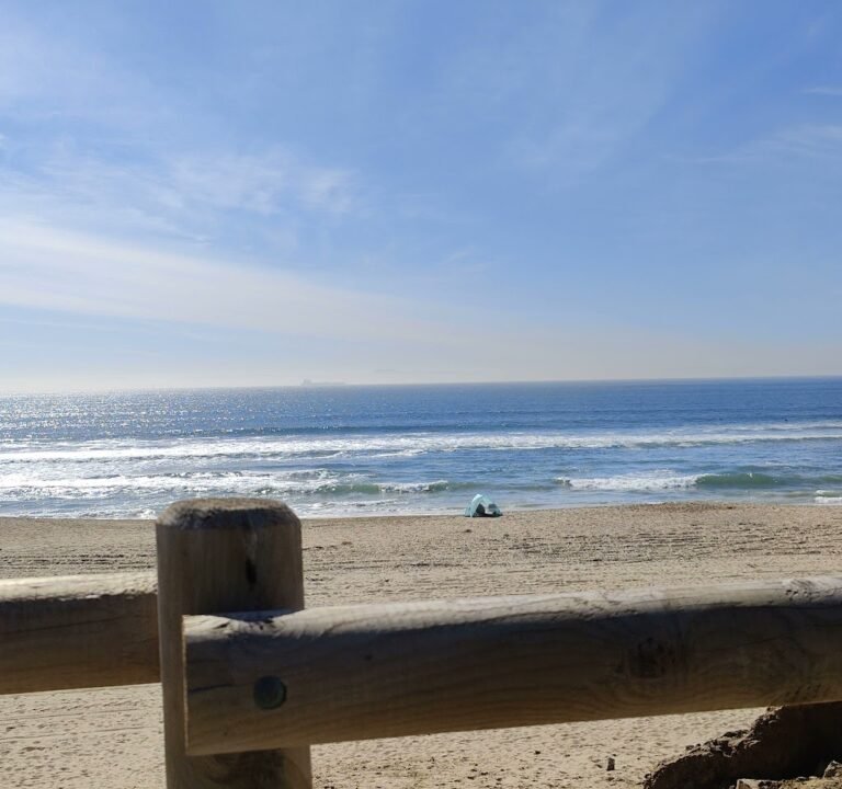 Soccer Field image 4