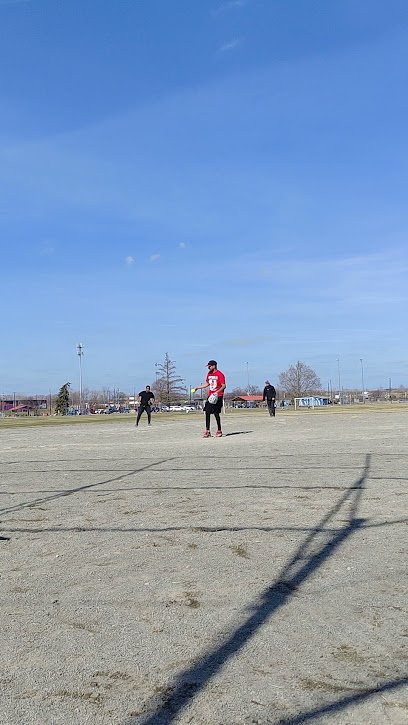 Soccer Field image 1
