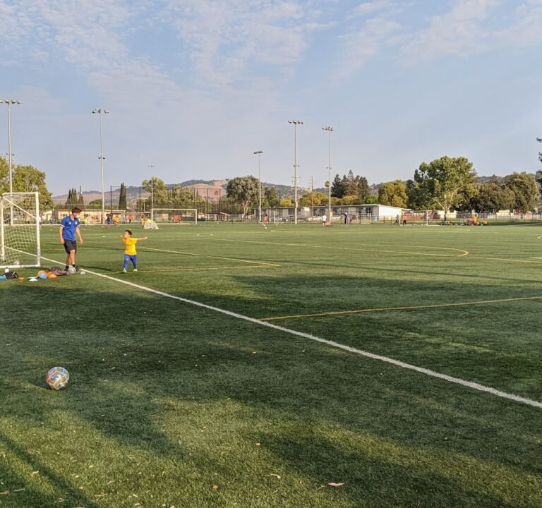 Soccer Field image 2