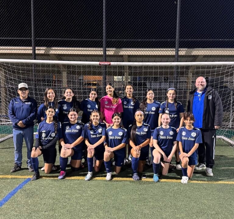 Soccer Field image 3