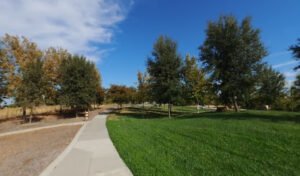 Soccer Field image 1