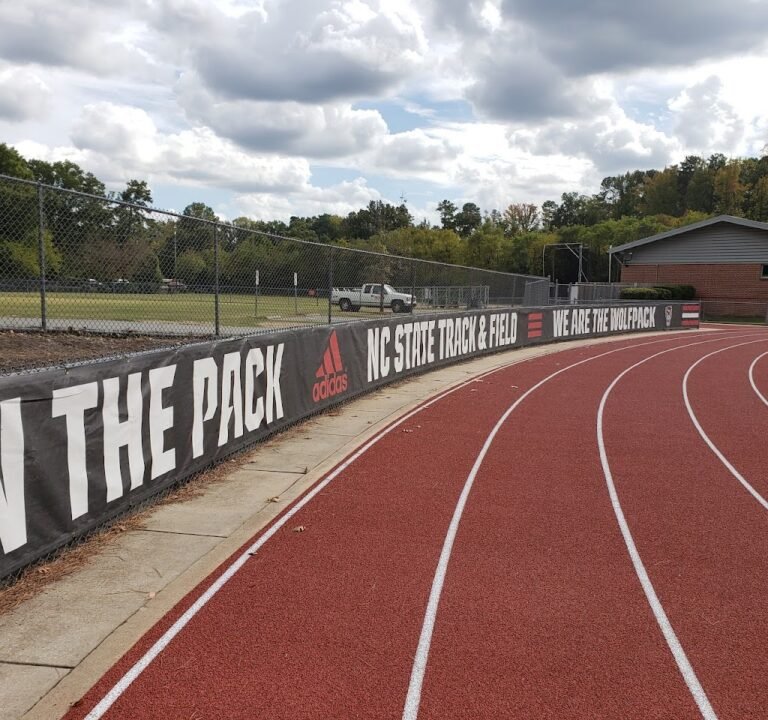 Soccer Field image 2