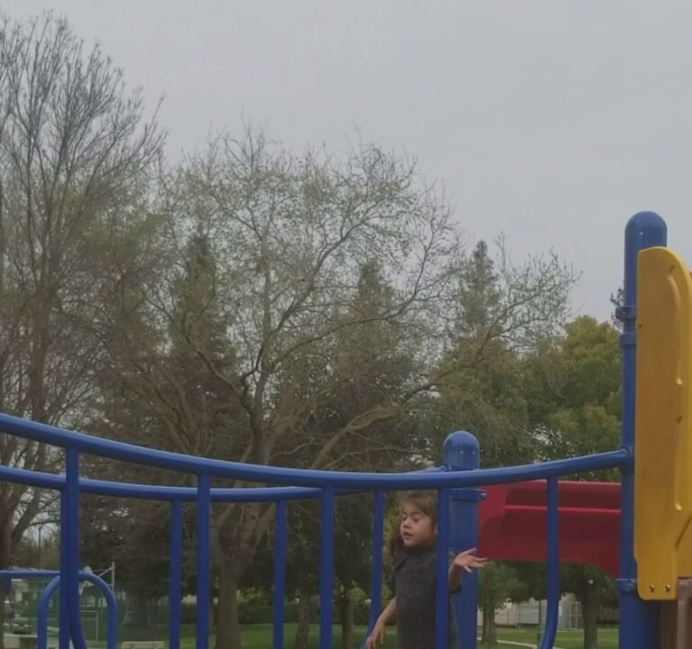 Soccer Field image 4