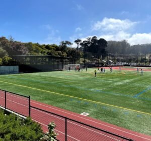 Soccer Field image 2