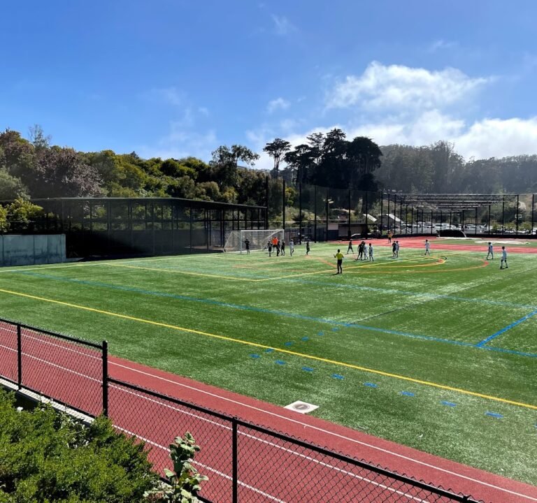 Soccer Field image 2