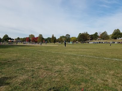 Soccer Field image 1