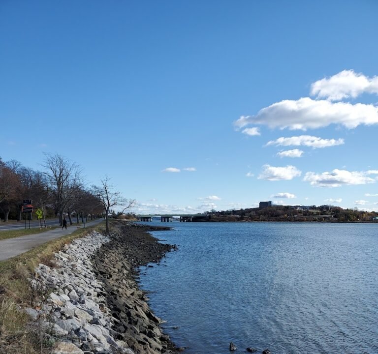 Soccer Field image 3