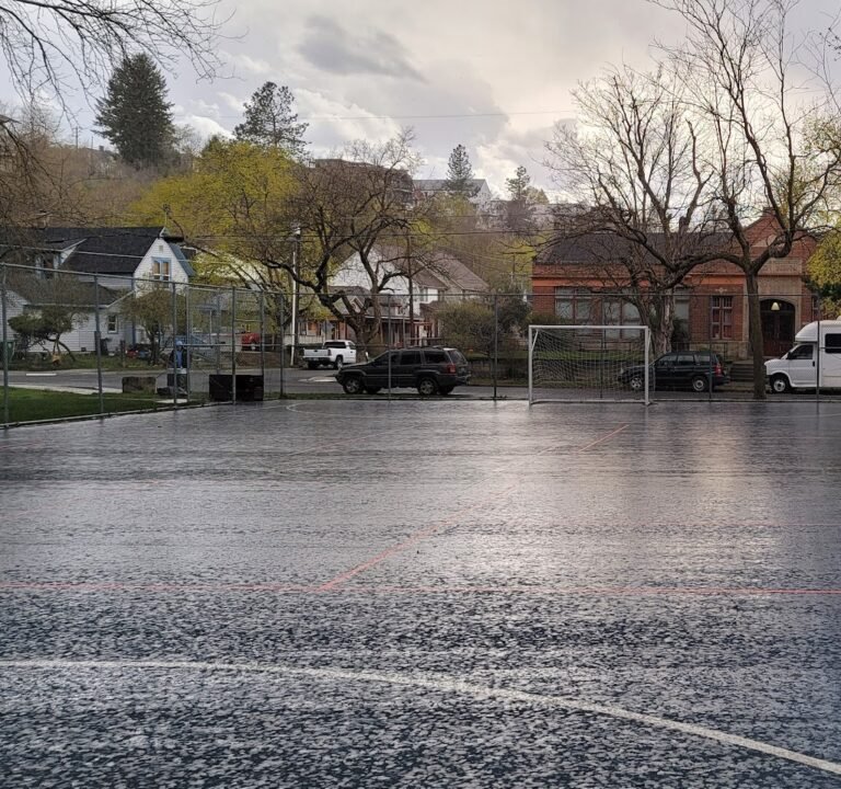 Soccer Field image 2
