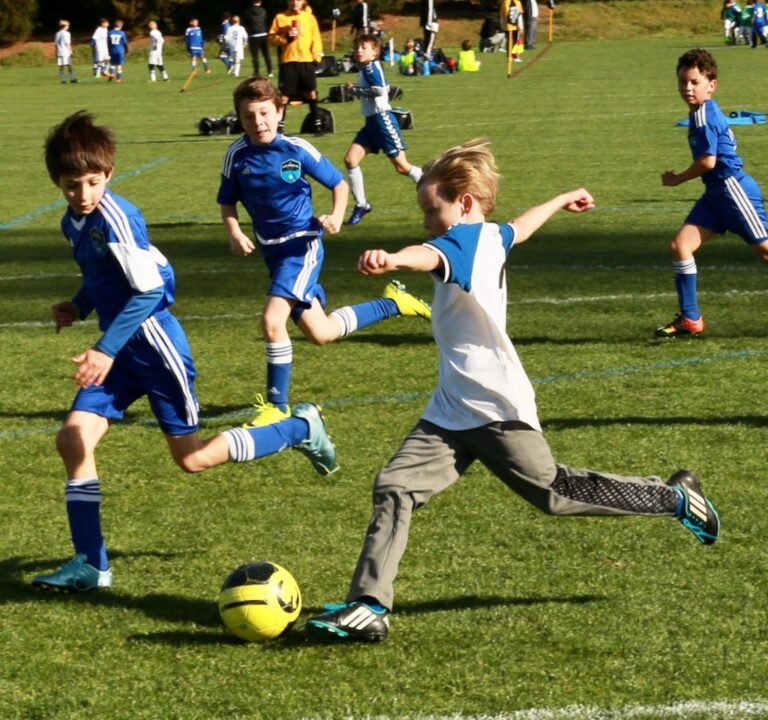 Soccer Field image 3