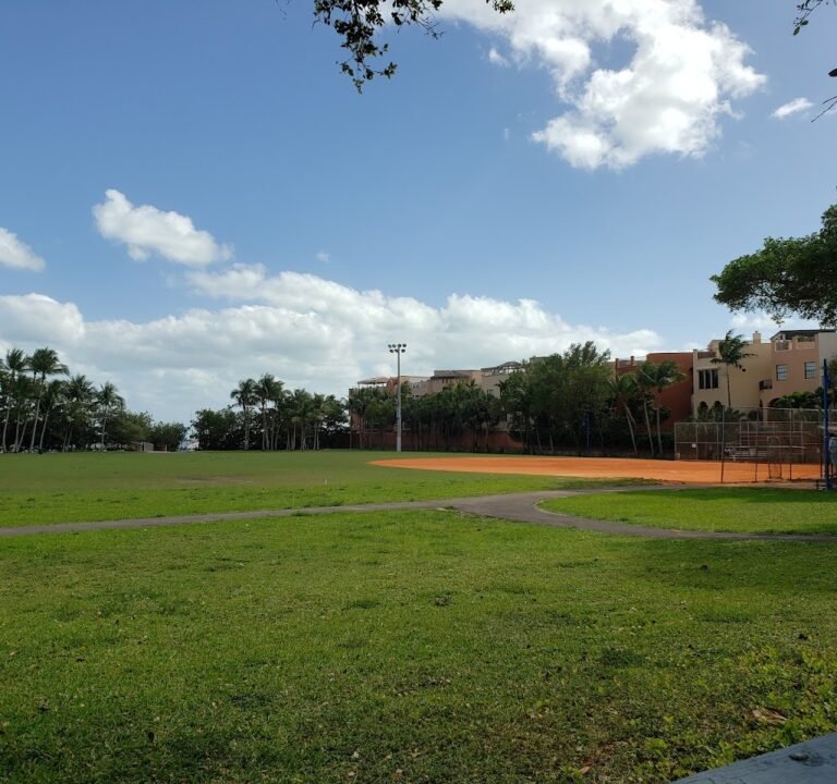 Soccer Field image 2