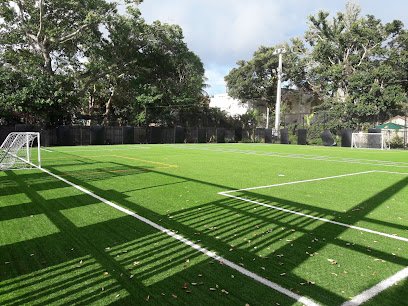 Soccer Field image 1